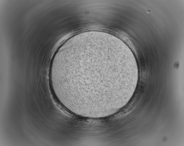 X0000098050954200804181320