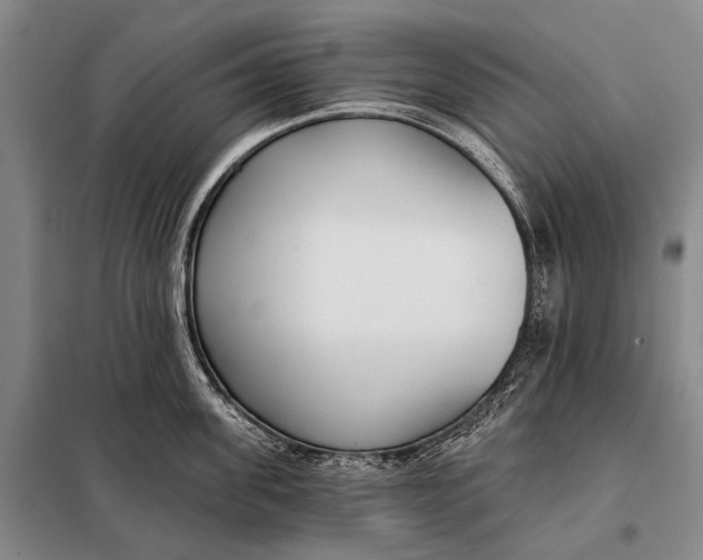 X0000098050955200804181320