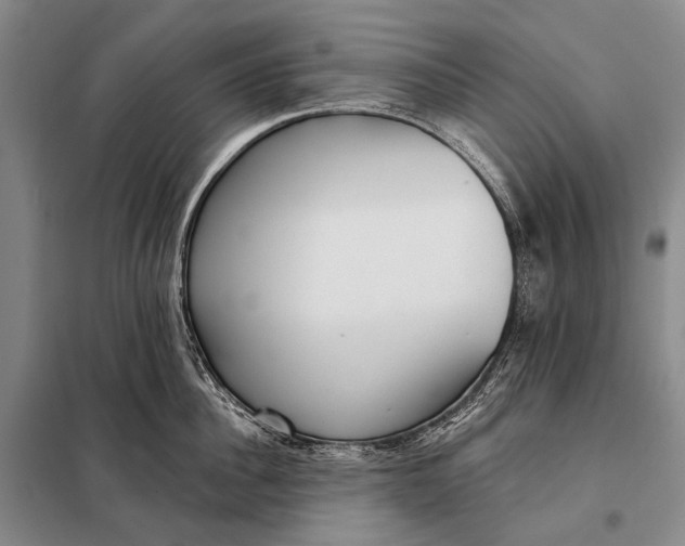 X0000098050956200804181320