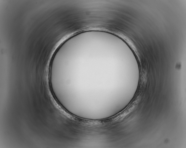 X0000098050957200804181320