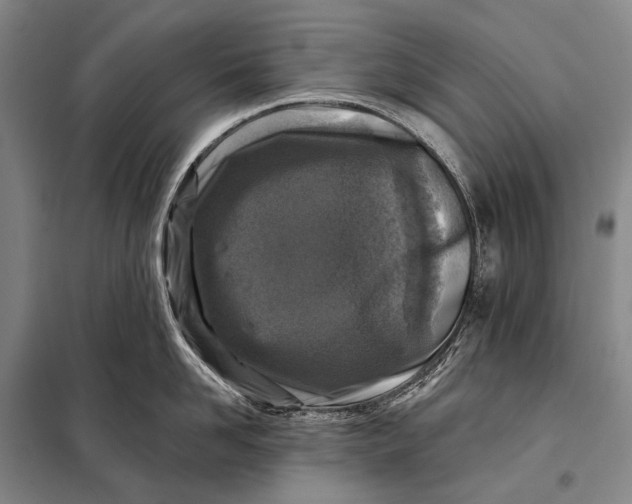 X0000098050958200804181320