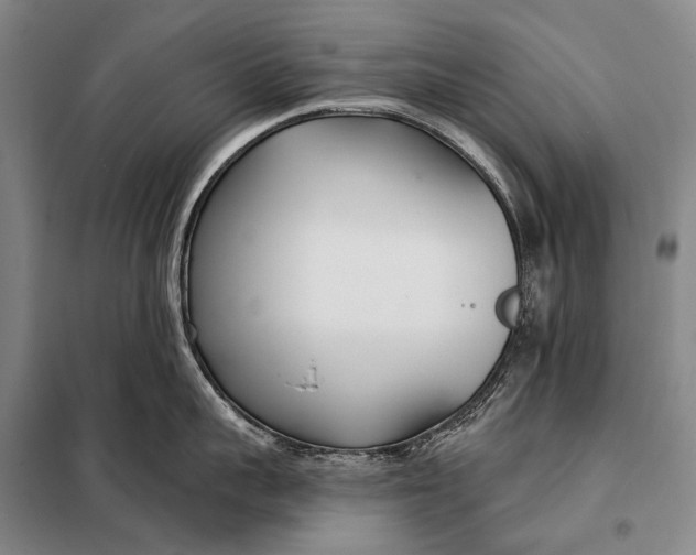 X0000098050959200804181320