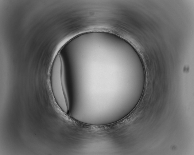 X0000098050960200804181320