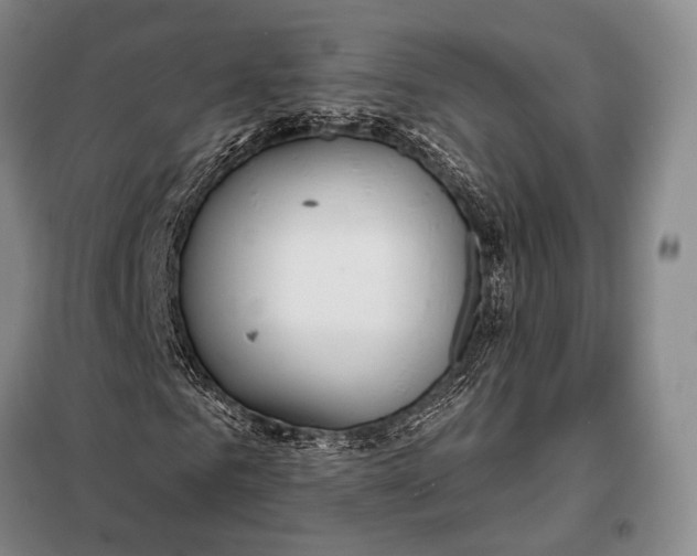 X0000098050961200804181319