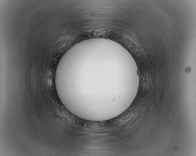 X0000098050962200804181319