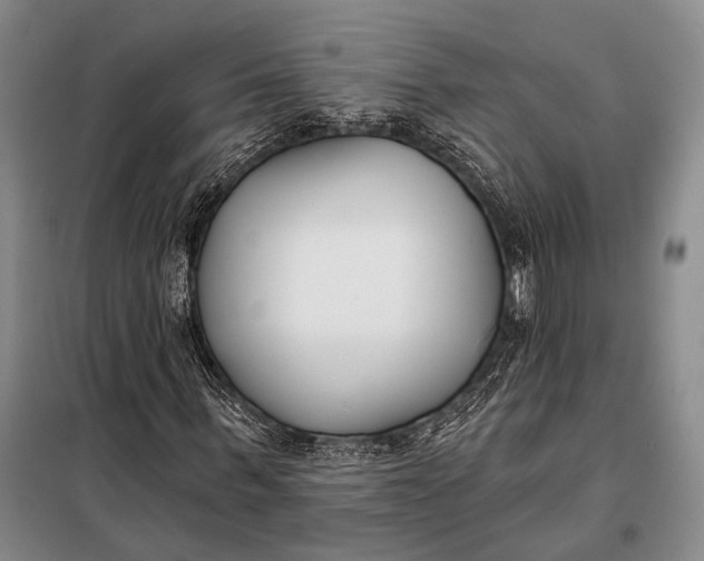 X0000098050963200804181319