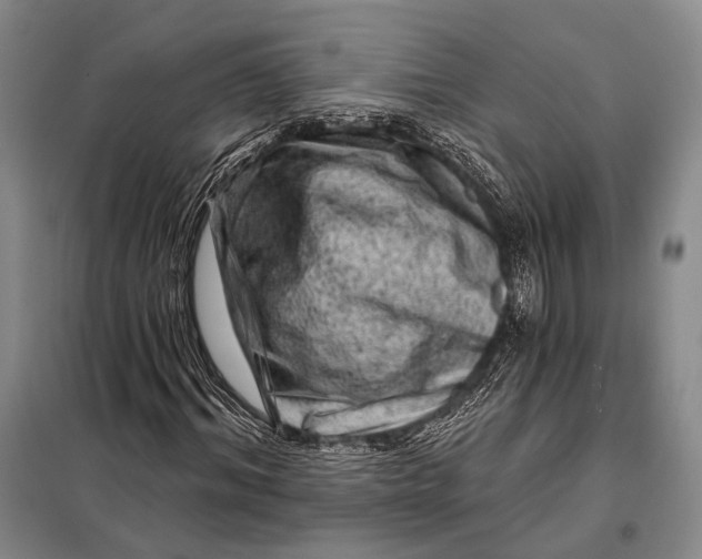 X0000098050964200804181319