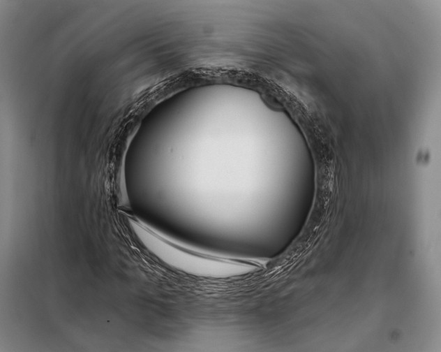 X0000098050965200804181319