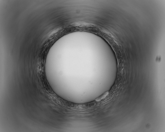 X0000098050966200804181319