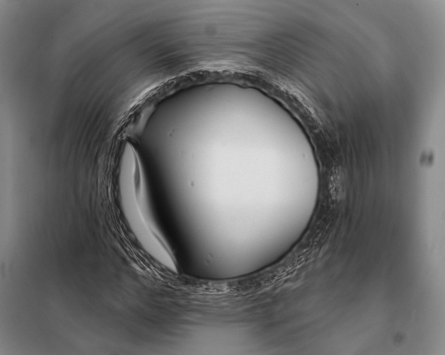 X0000098050968200804181319