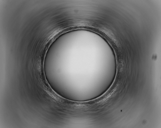 X0000098050969200804181319