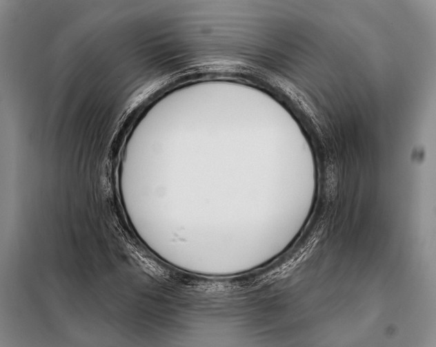 X0000098050970200804181319