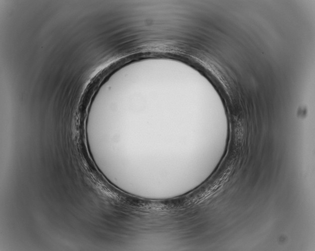 X0000098050971200804181319