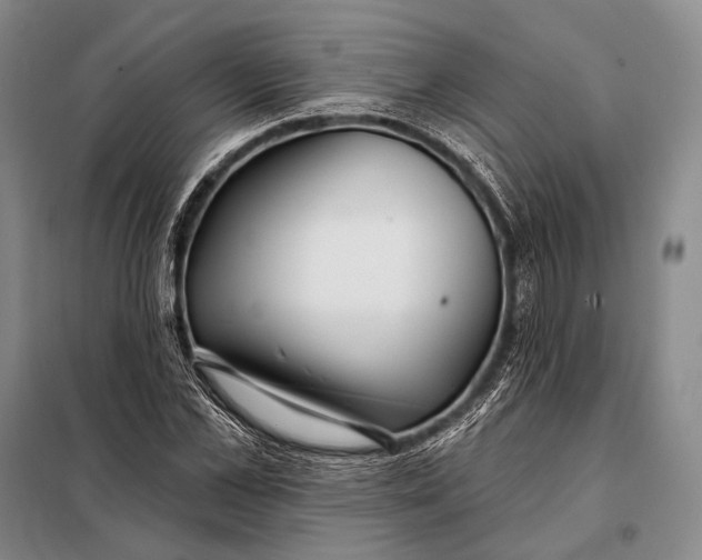 X0000098050973200804181319