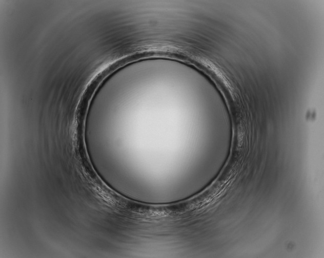 X0000098050975200804181319