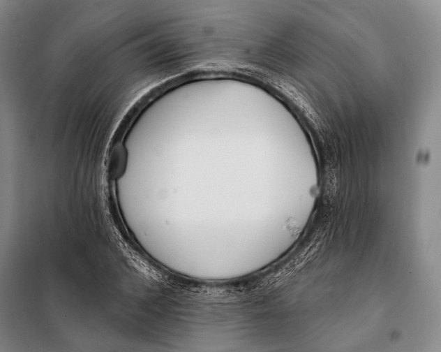 X0000098050976200804181319