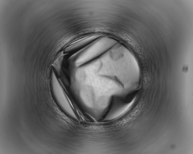 X0000098050977200804181319