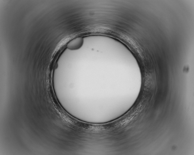 X0000098050978200804181319