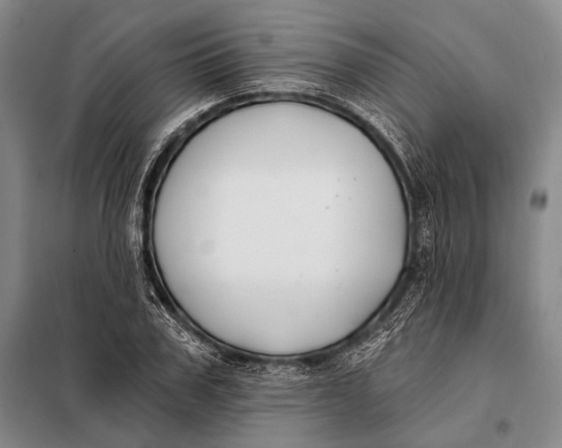 X0000098050979200804181319