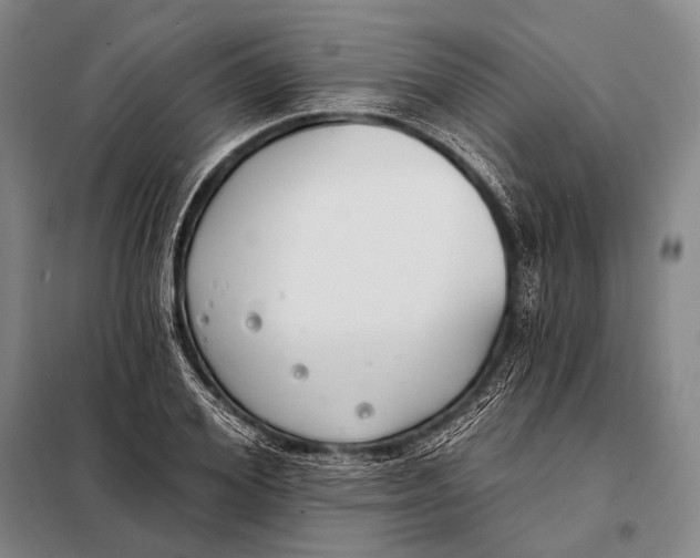 X0000098050980200804181319