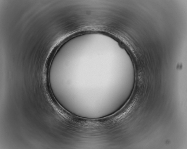 X0000098050981200804181319