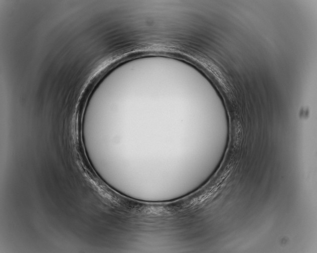 X0000098050982200804181319