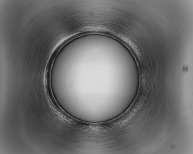 X0000098050983200804181319