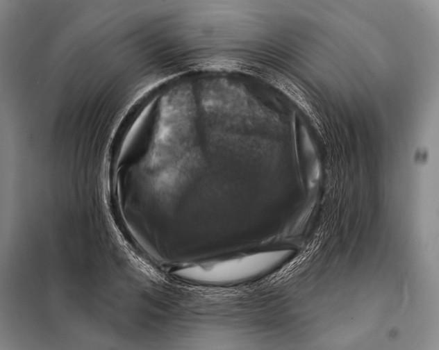 X0000098050984200804181319