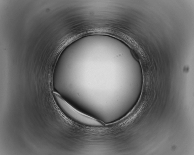 X0000098050985200804181319