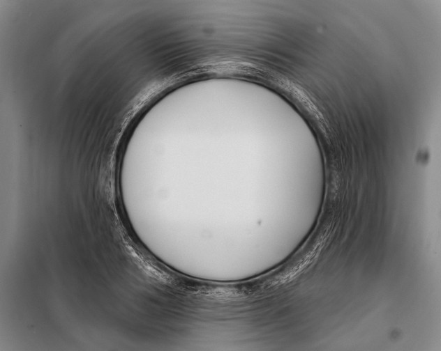 X0000098050986200804181319