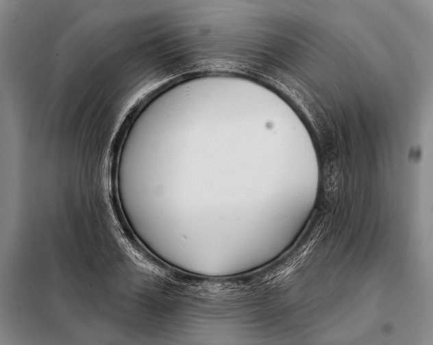 X0000098050987200804181319