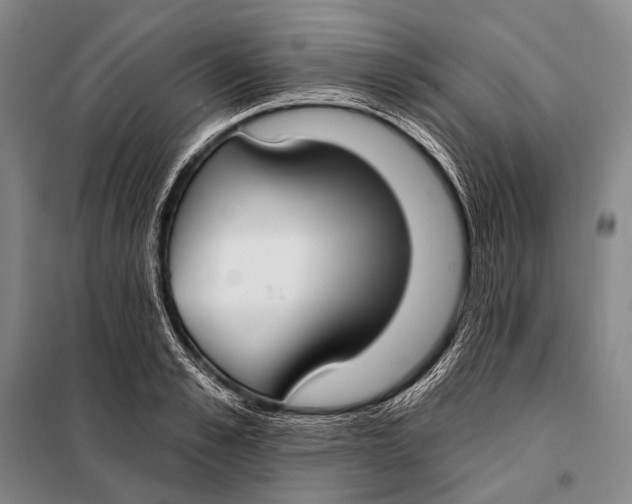 X0000098050989200804181319