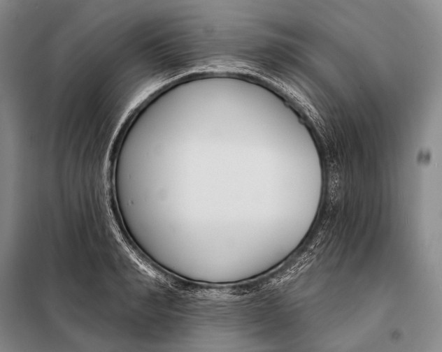 X0000098050990200804181319