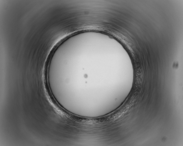 X0000098050991200804181319