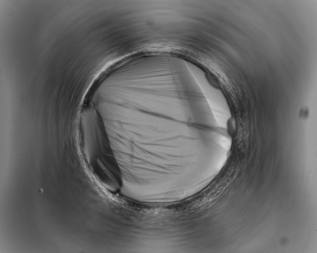 X0000098050992200804181319