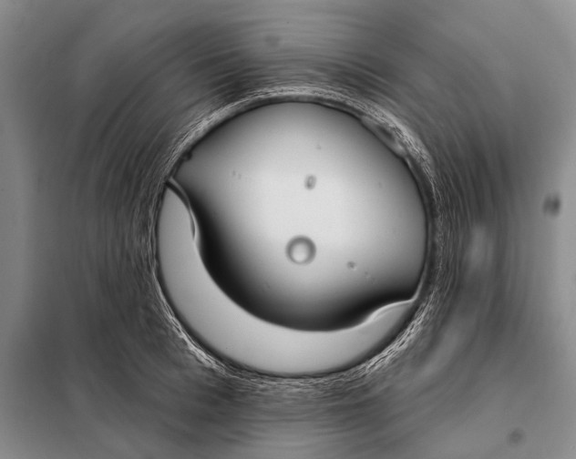 X0000098050993200804181319