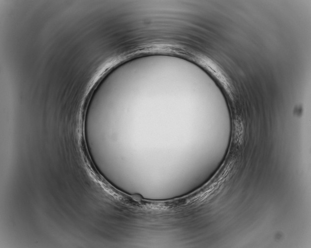 X0000098050994200804181319