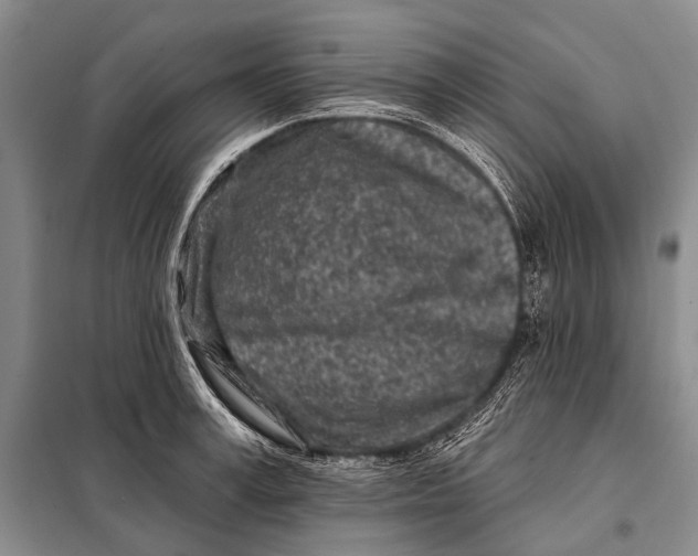 X0000098050995200804181319