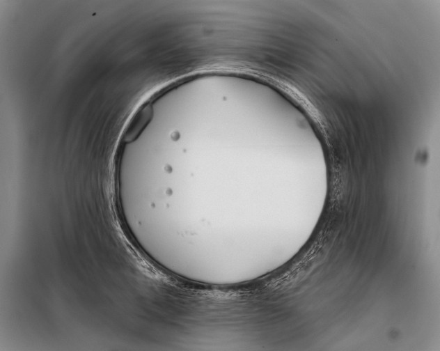 X0000098050996200804181319