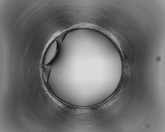 X0000098050997200804181319