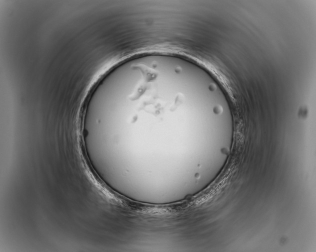 X0000098050998200804181319