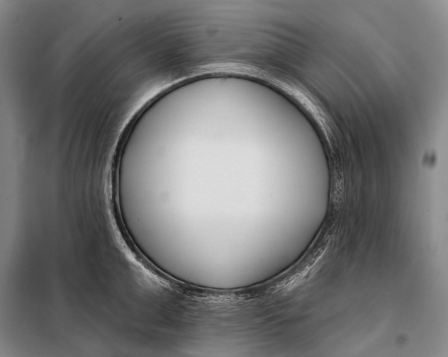 X0000098050999200804181319