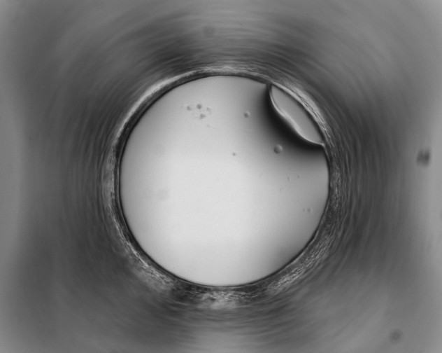 X0000098051000200804181319