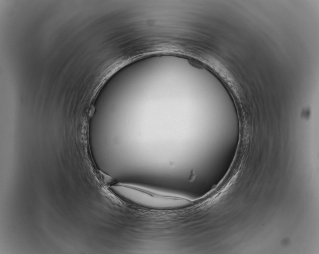 X0000098051001200804181319