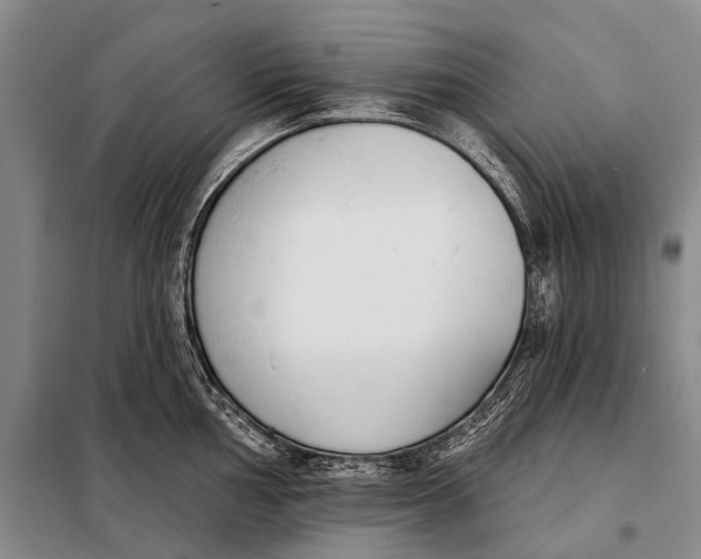 X0000098051002200804181319