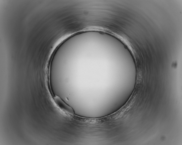 X0000098051003200804181319