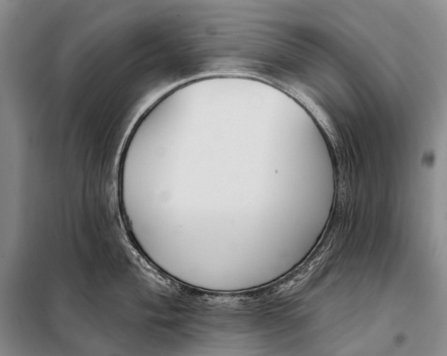 X0000098051004200804181319