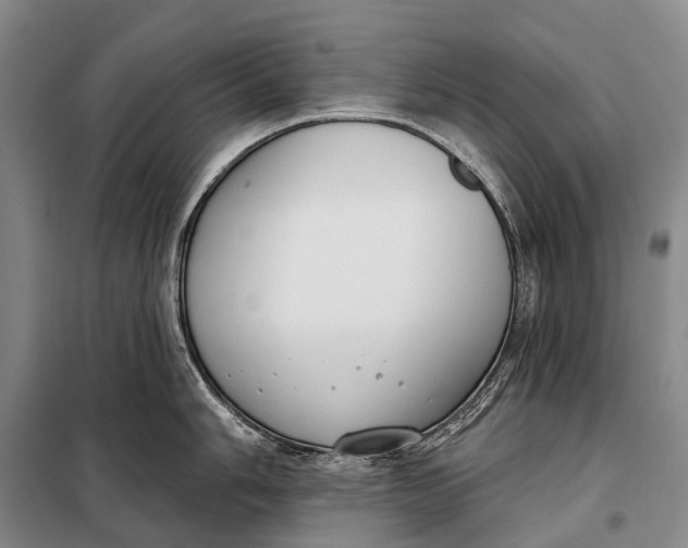 X0000098051006200804181319