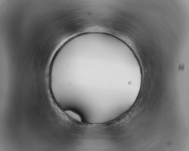 X0000098051008200804181319