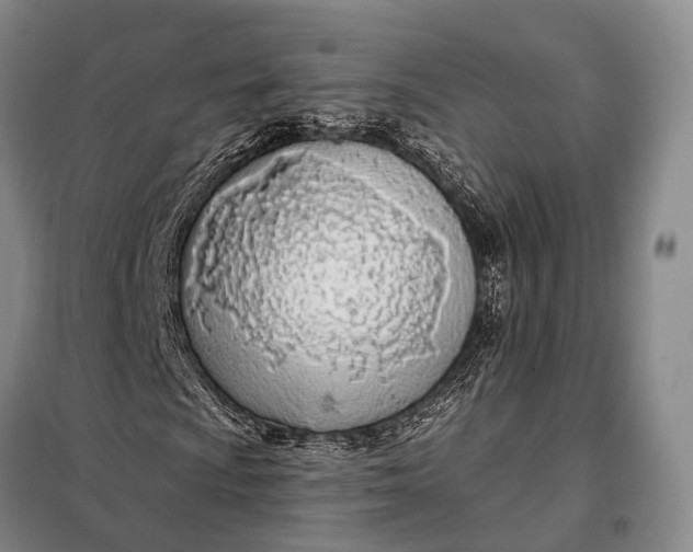 X0000098051009200804181318